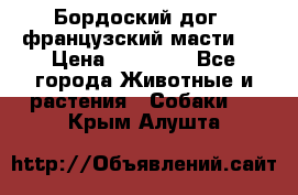 Бордоский дог ( французский масти)  › Цена ­ 50 000 - Все города Животные и растения » Собаки   . Крым,Алушта